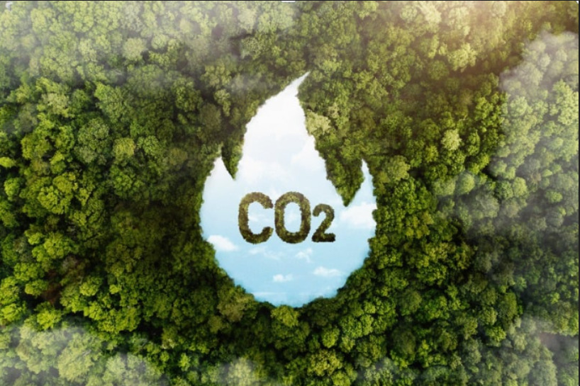 Biofertilisant issu de la digestion anaérobie : un boost naturel pour la qualité des sols